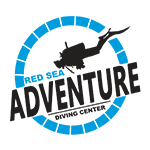 Red sea adventure